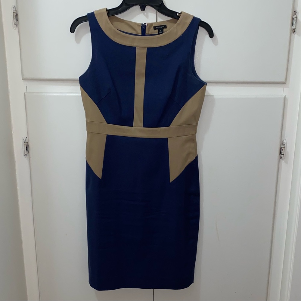 Ann Taylor Navy and Nude Dress